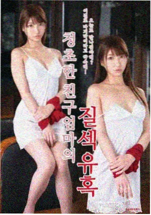 电视剧雾港往事封面图